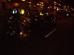 IMGP0729