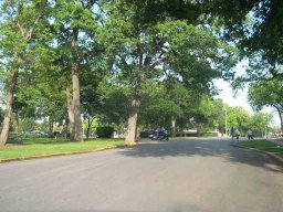 DSCN0198
