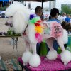 bar_3324