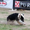 bar_3391