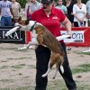bar_3448